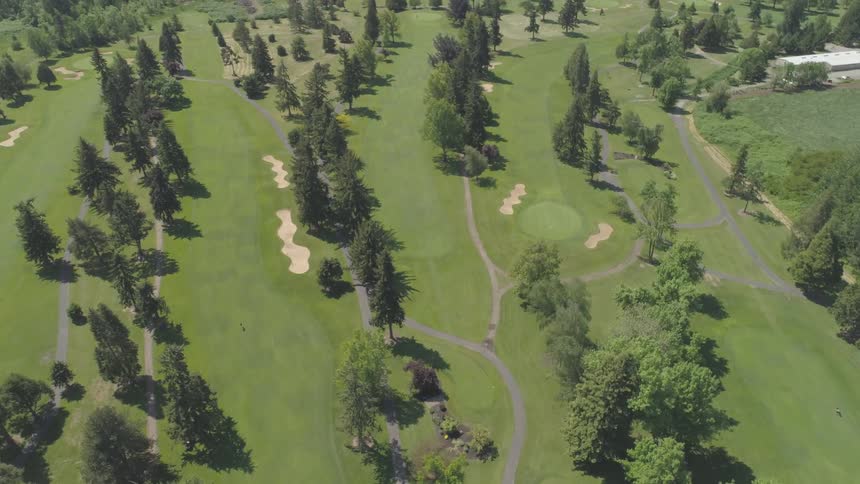 Men Playing Golf