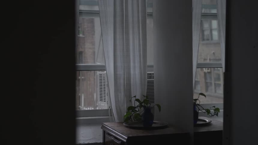New York City Scenics