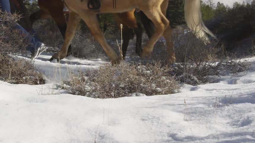 People Riding Horses In Snow