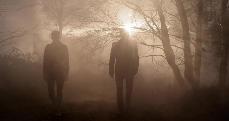 Two people walking in a very foggy area with trees and the sun behind them
