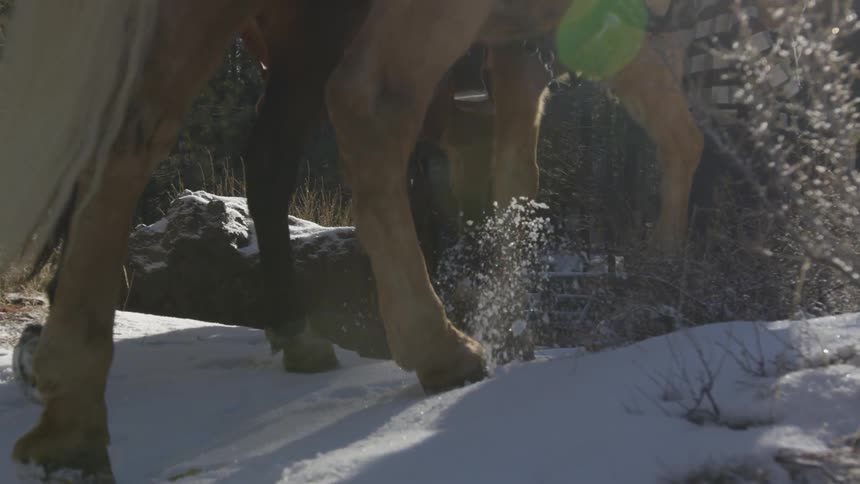 People Riding Horses In Snow