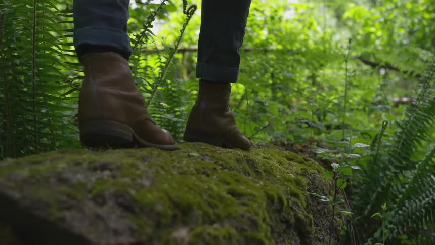 Photographer Hiking In Nature