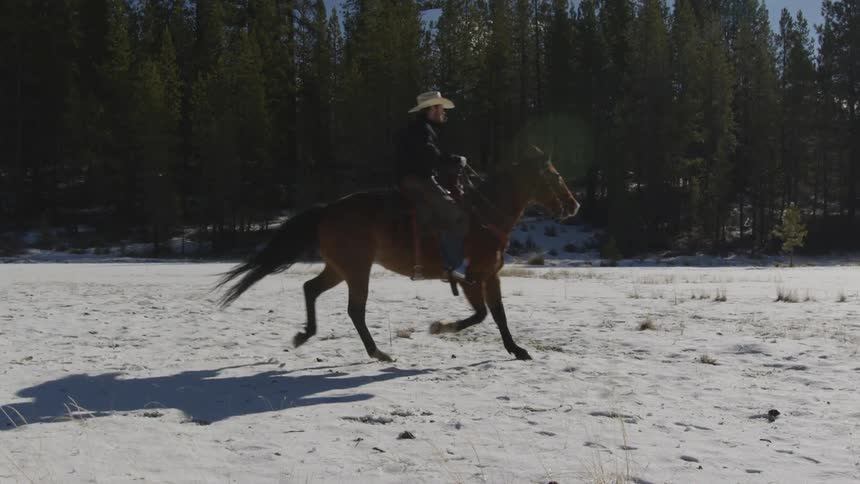 People Riding Horses In Snow