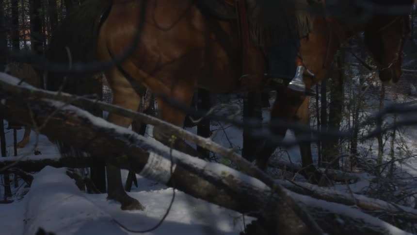 People Riding Horses In Snow