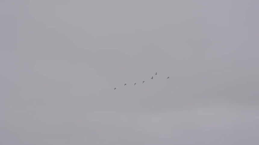 Overcast Coastline Scenics