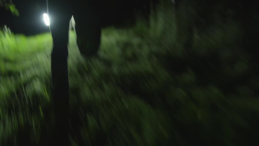 Men In Forest At Night