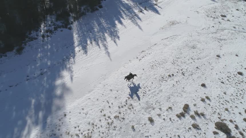 People Riding Horses In Snow