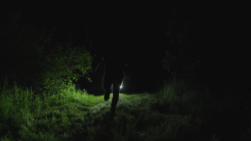 Men In Forest At Night