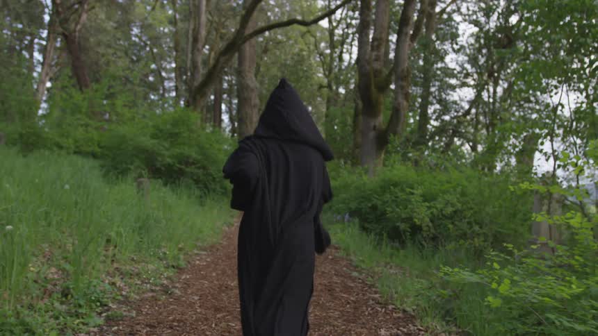 Person In Black Robe Walking Through Forest