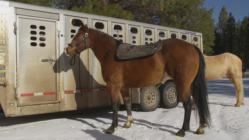 People Riding Horses In Snow