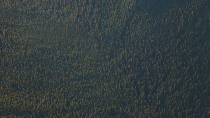Pilot Flying Plane Through Snowy Mountains