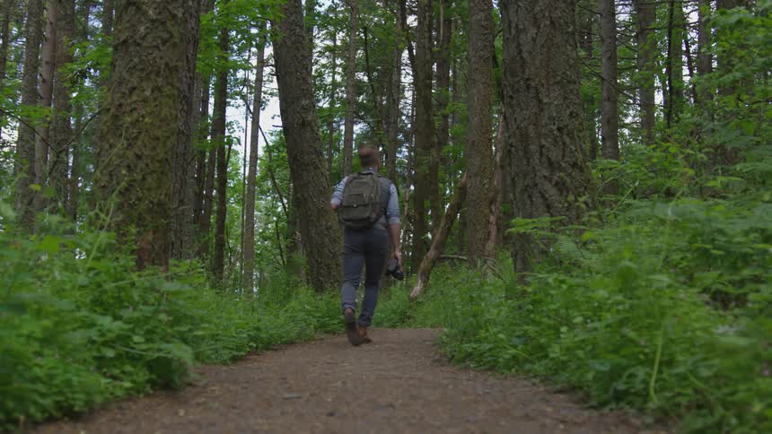 Photographer Hiking In Nature