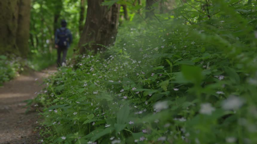 Photographer Hiking In Nature