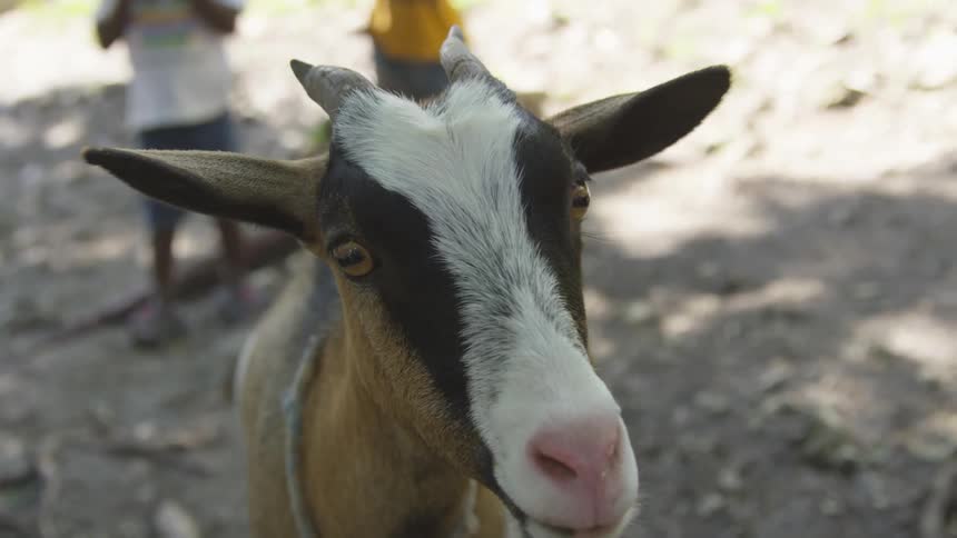 People Living In A Rural Village