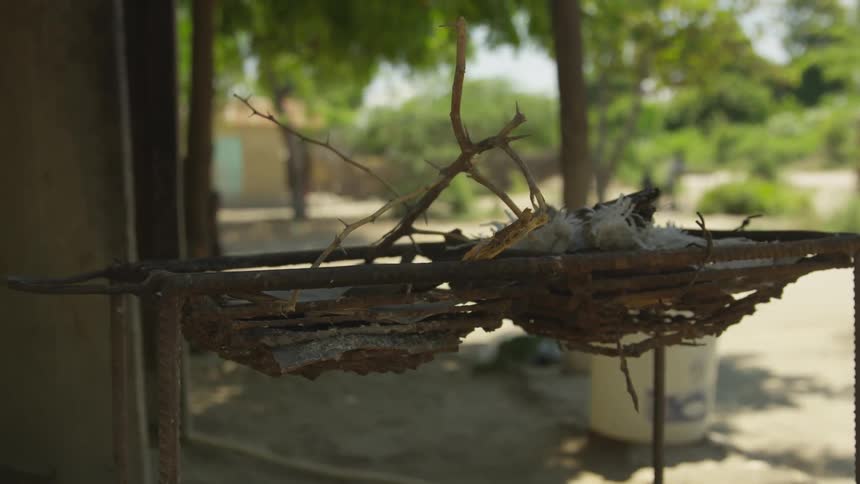 People Living In A Rural Village