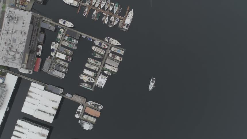 Portland Aerials