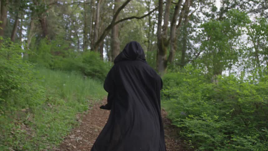 Person In Black Robe Walking Through Forest