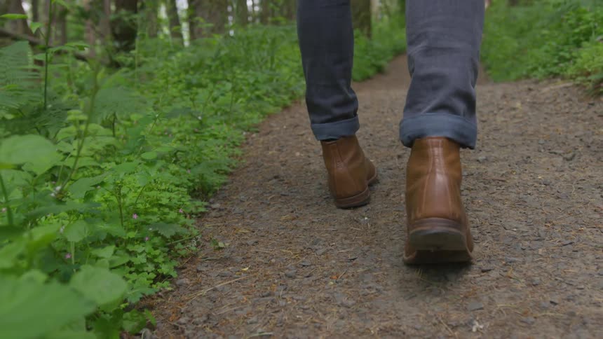 Photographer Hiking In Nature