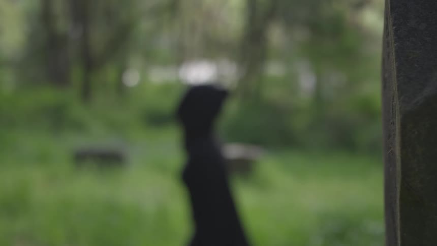 Person In Black Robe Walking Through Forest
