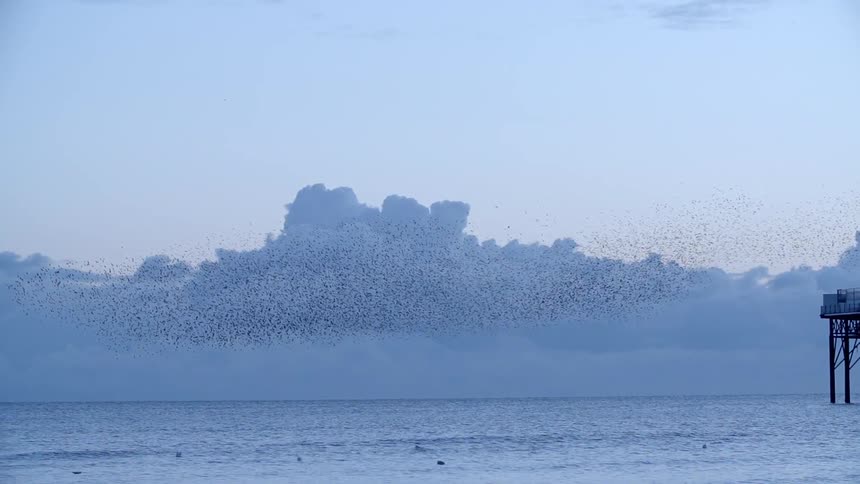 A flock of birds cross the ocean at dusk near a pier