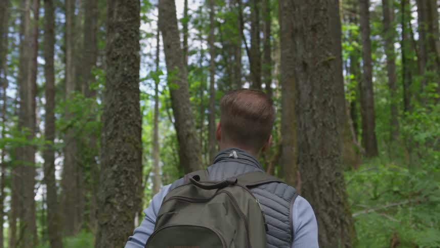 Photographer Hiking In Nature