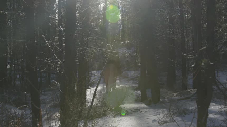 People Riding Horses In Snow