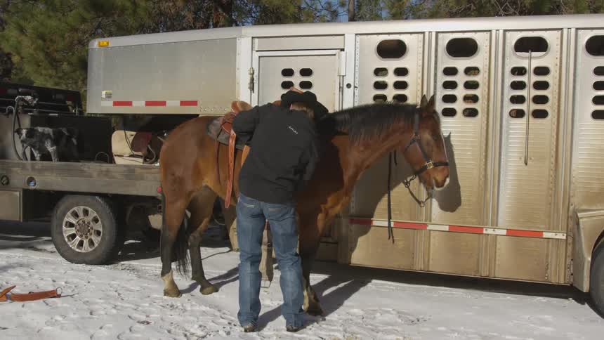People Riding Horses In Snow