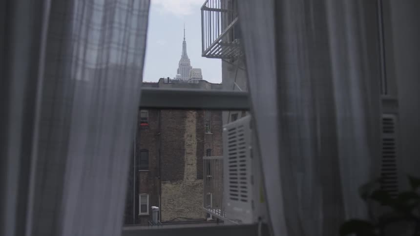 New York City Scenics