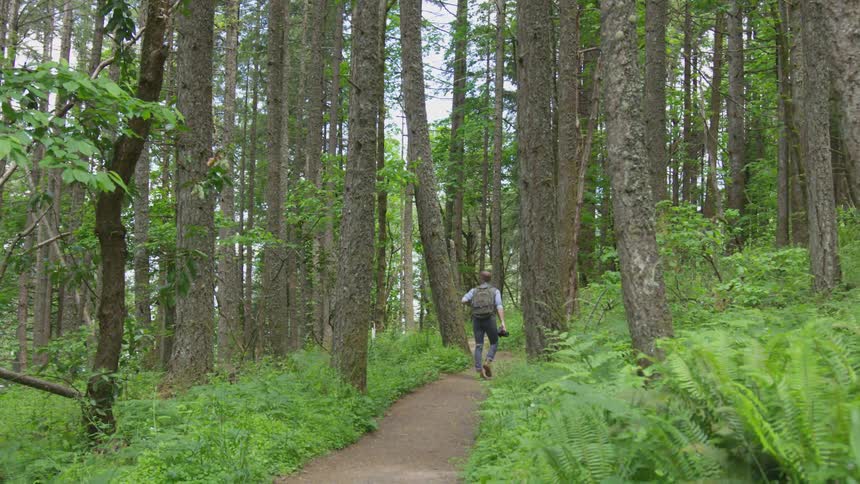 Photographer Hiking In Nature