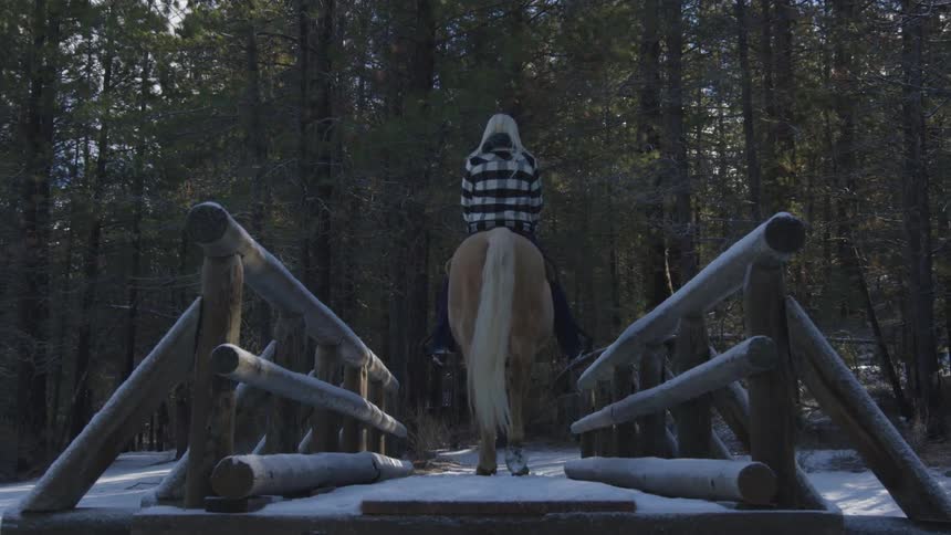 People Riding Horses In Snow