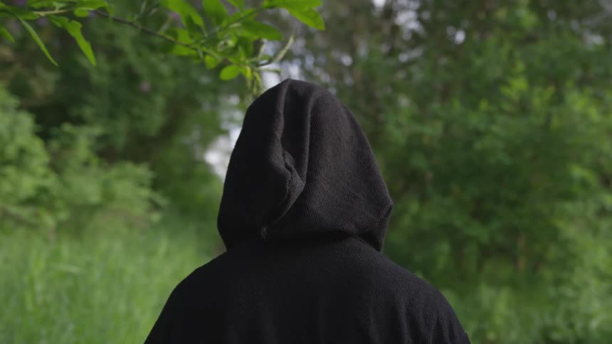 Person In Black Robe Walking Through Forest