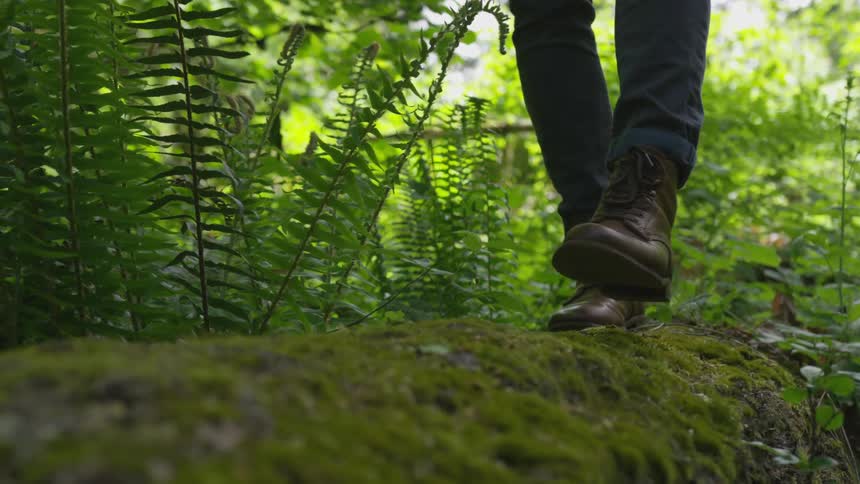 Photographer Hiking In Nature
