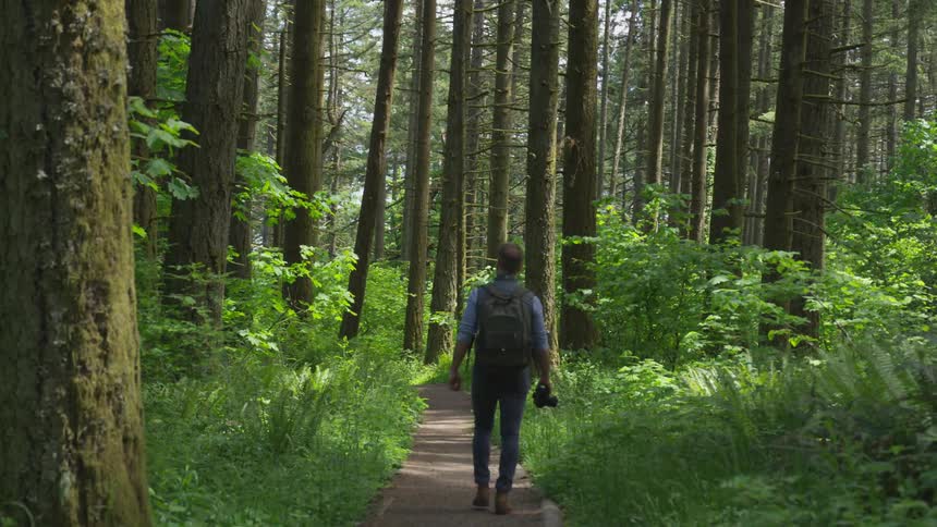 Photographer Hiking In Nature