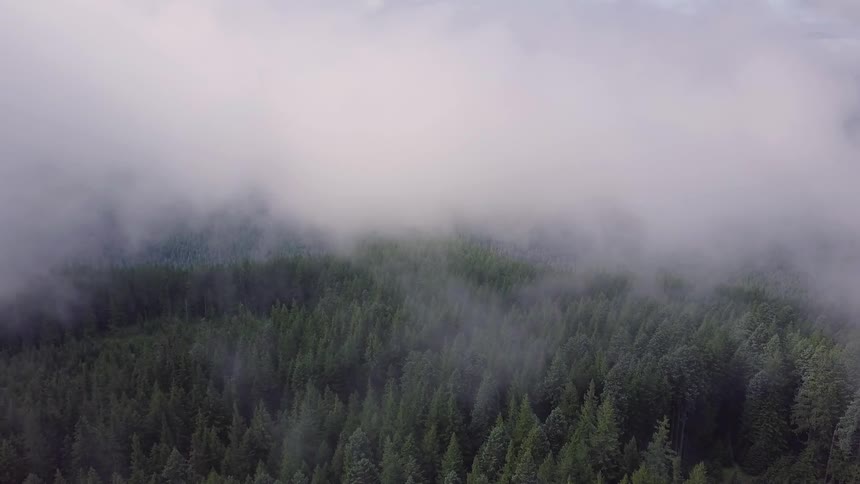 Pacific Northwest Aerials