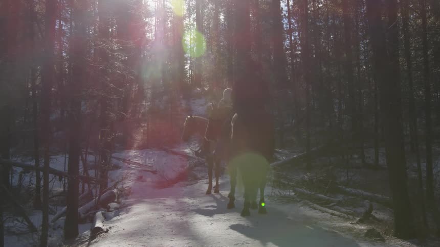 People Riding Horses In Snow