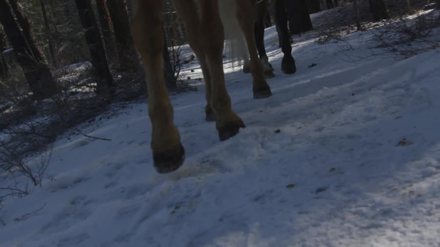 People Riding Horses In Snow