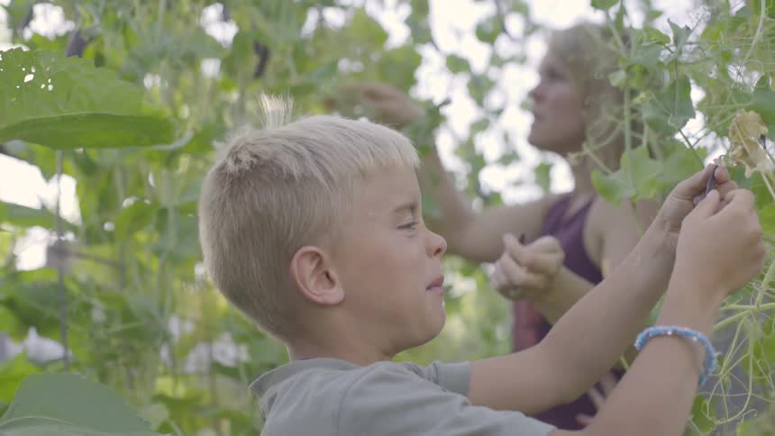 Mother And Son Gardening Together