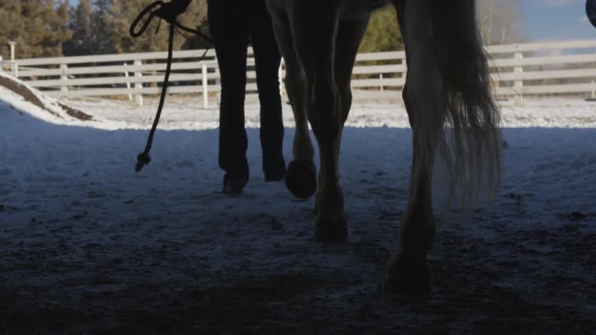 People Riding Horses In Snow