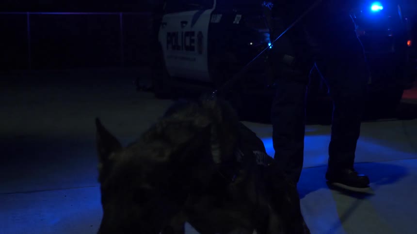 Police Officers