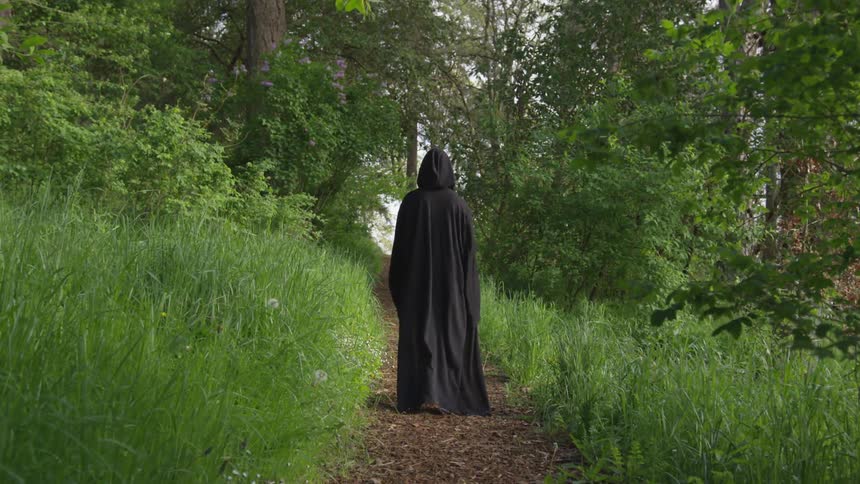 Person In Black Robe Walking Through Forest