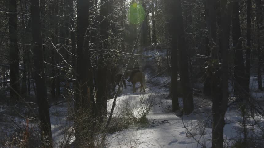 People Riding Horses In Snow