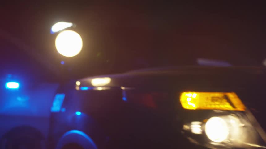 Police Officers