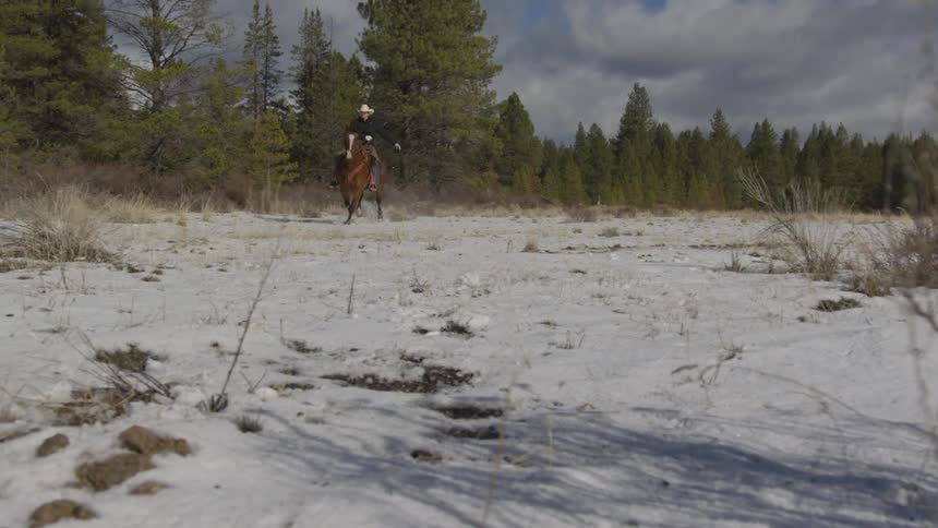 People Riding Horses In Snow