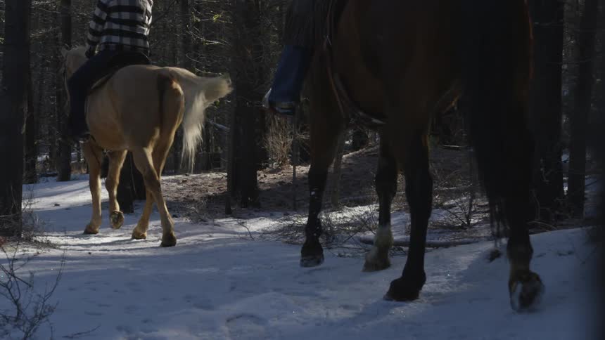 People Riding Horses In Snow