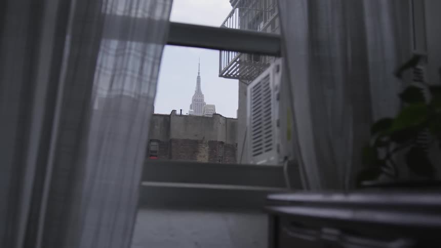 New York City Scenics