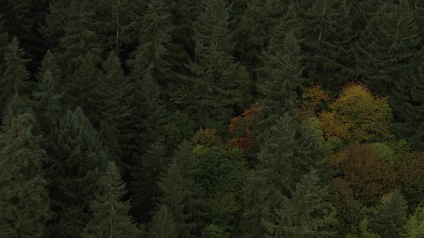 Pacific Northwest Aerials