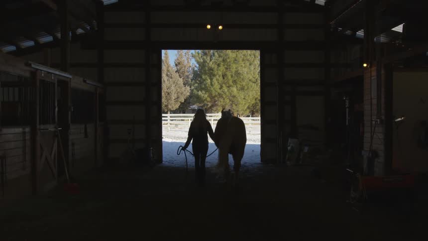 People Riding Horses In Snow