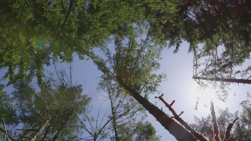 Photographer Hiking In Nature