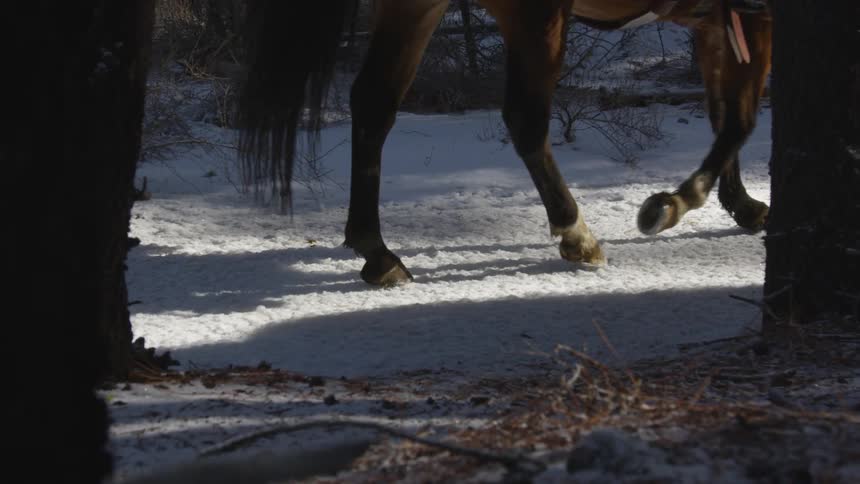 People Riding Horses In Snow