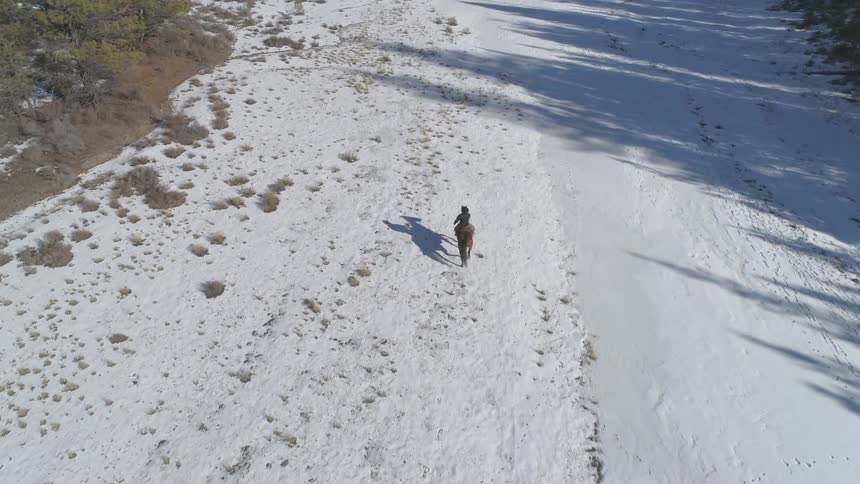 People Riding Horses In Snow